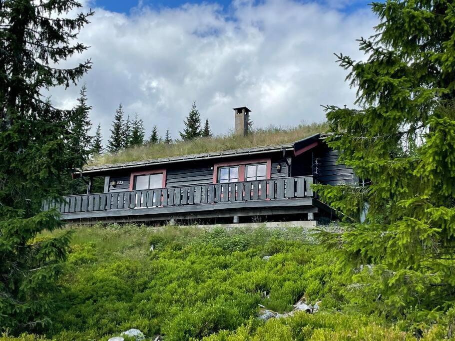 Centrally Located Cottage At Sjusjoen Ski Center Extérieur photo
